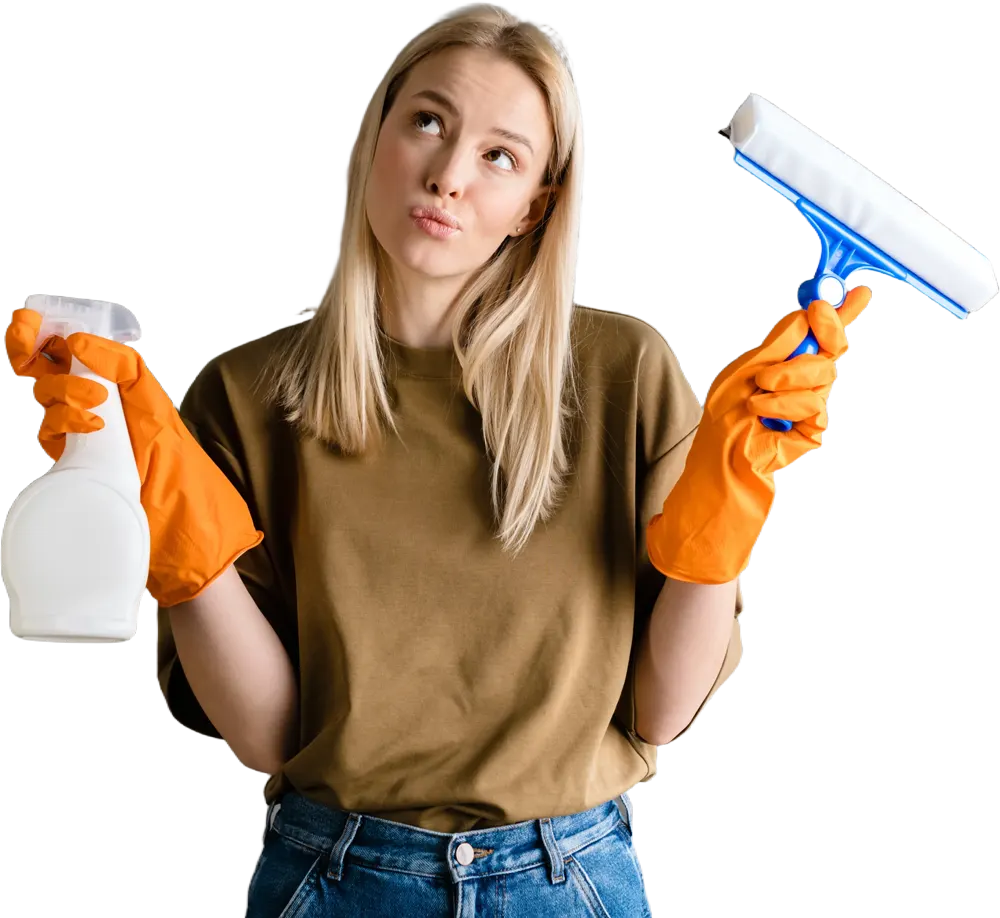 Beautiful Woman With Cleaning Equipment