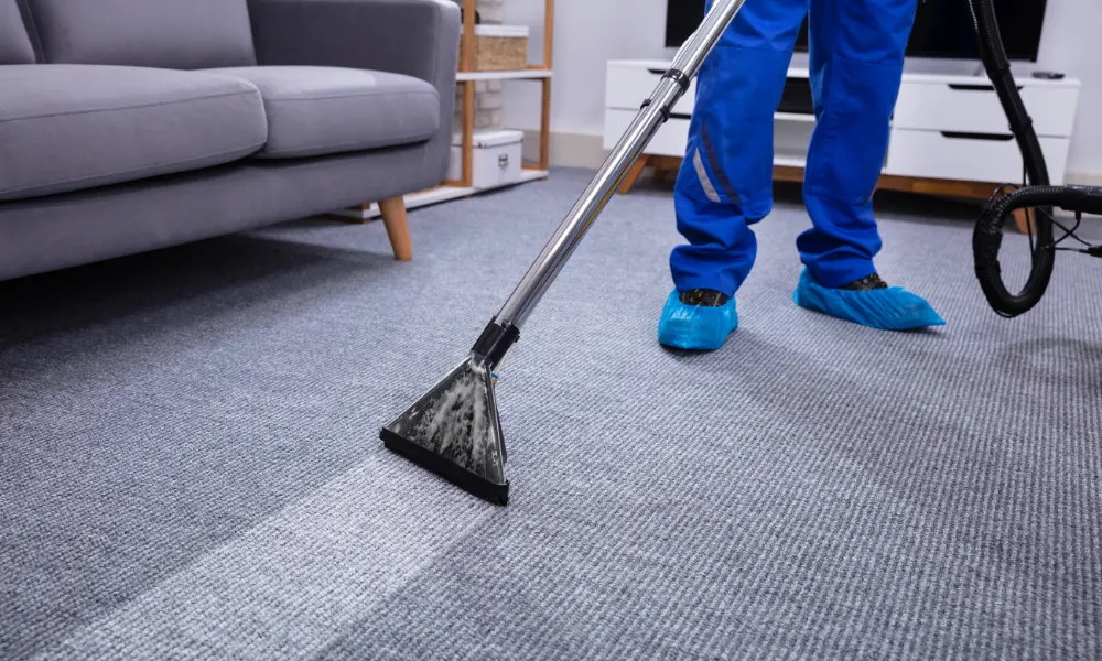 Cleaning Interior House