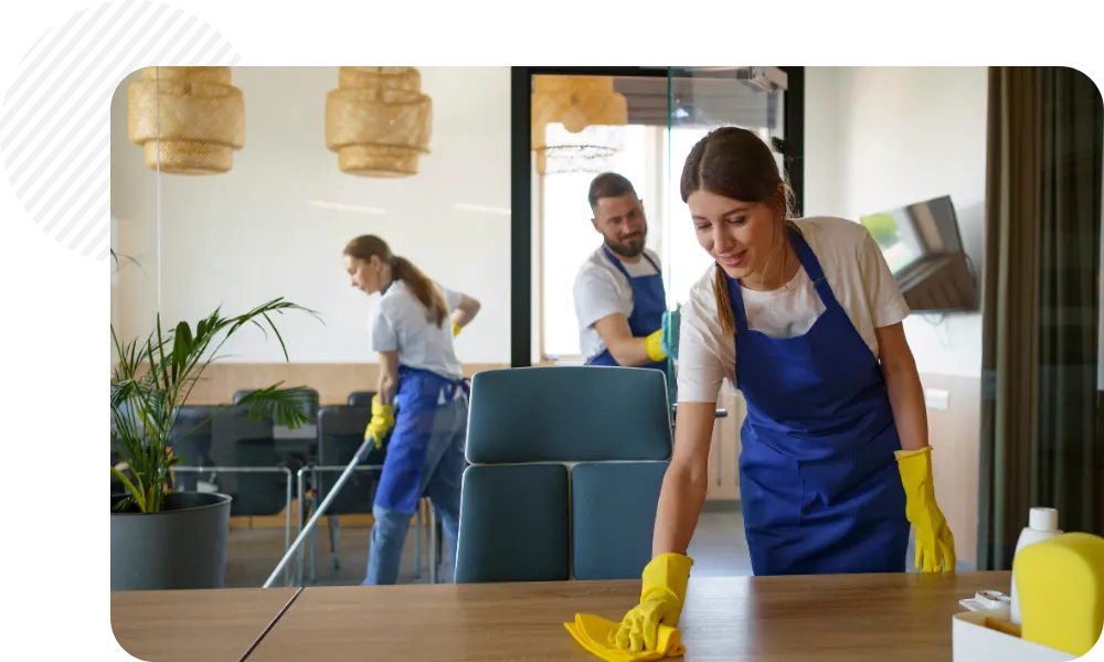 Professional Cleaners Team