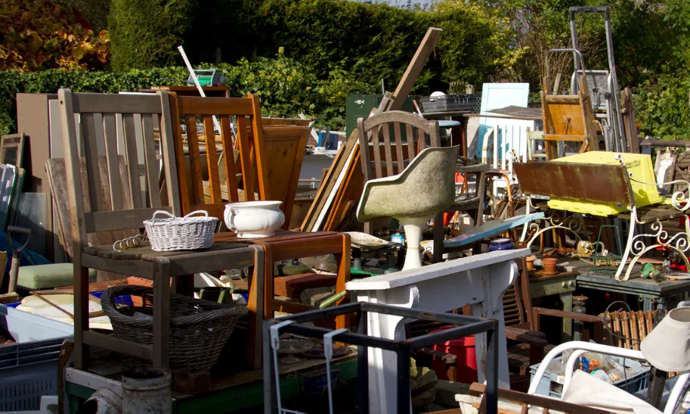 Removing All Junk From the House